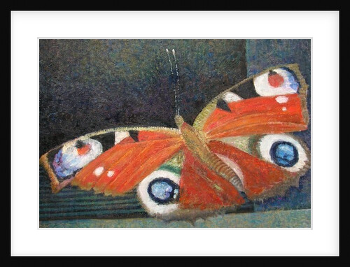 Papillon by Ruth Addinall