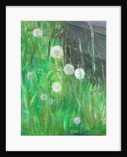 Dandelion Clocks in Grass by Ruth Addinall