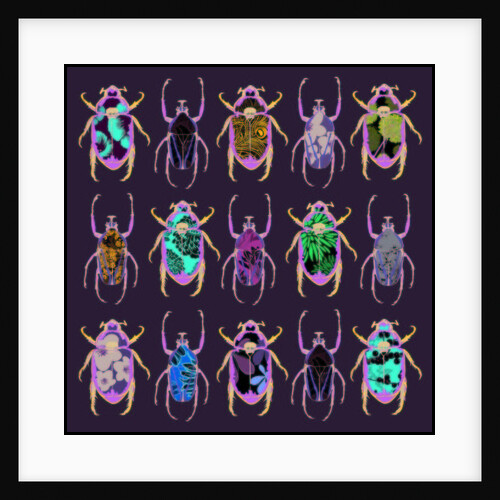 Beetledrive, 2008 by Sarah Hough