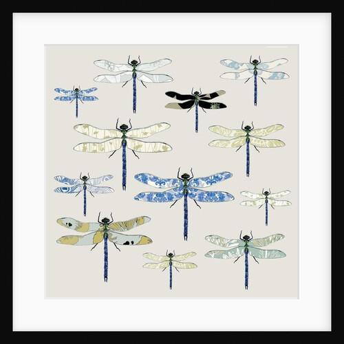 Odonata, 2008 by Sarah Hough