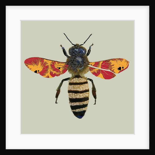 Honey Bee, 2010 by Sarah Hough