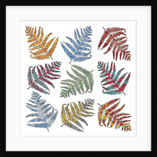 Ferns, 2012 by Sarah Hough