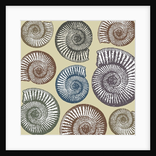 Jurassic Coast, 2009 by Sarah Hough