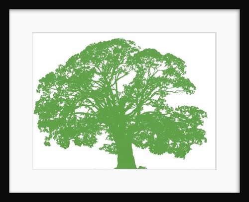 Climbing Tree, 2009 by Sarah Hough