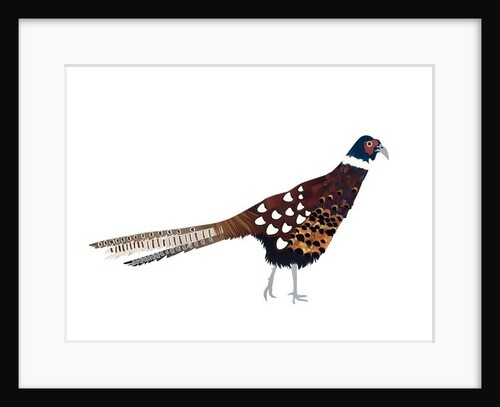 Pheasant, 2013 by Isobel Barber