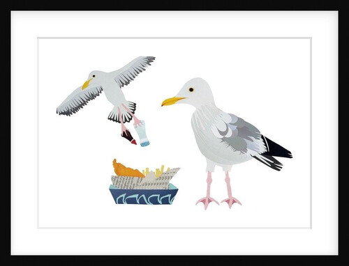Seagulls, 2014 by Isobel Barber
