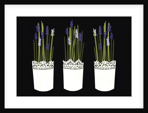 Lavender pots, 2014 by Isobel Barber