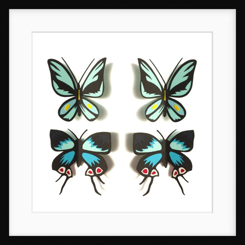 Flutterbies, 2016 by Isobel Barber