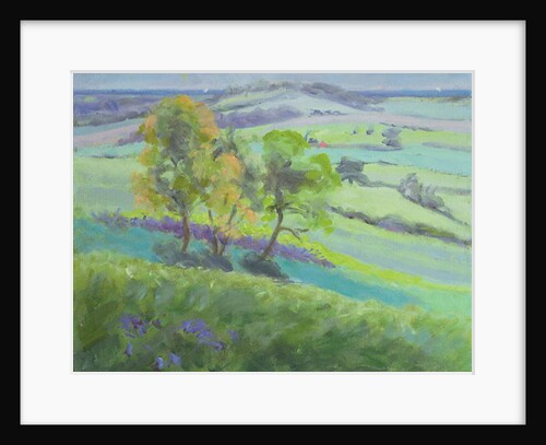 Towards Winchelsea, Sussex, with Bluebells in Spring by Anne Durham