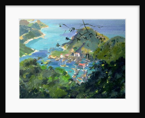 View of Aberdeen from the Peak, Hong Kong by Anne Durham