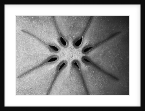 Persimmon, 2009 by Anonymous