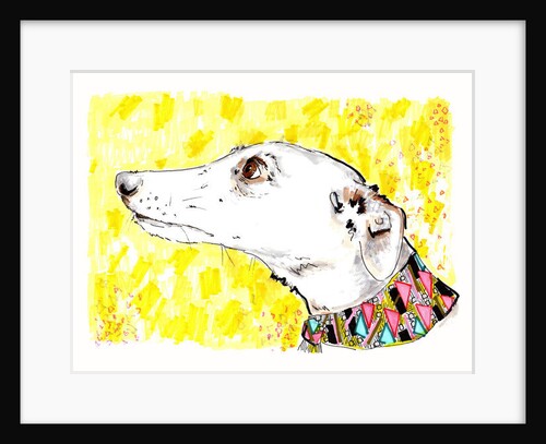 Silvertips The Greyhound, 2012 by Jo Chambers