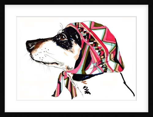 Pooch In Pucci, 2012 by Jo Chambers