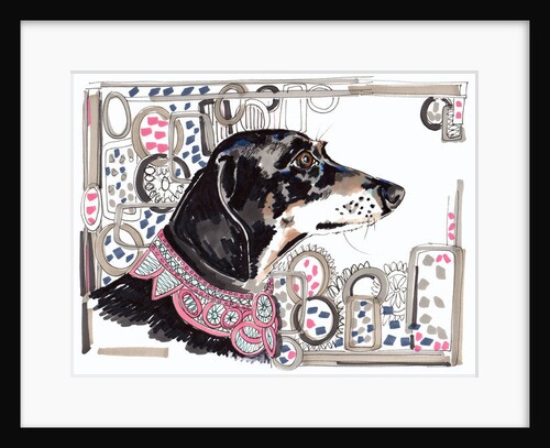 Lacey The Dachshund, 2013 by Jo Chambers