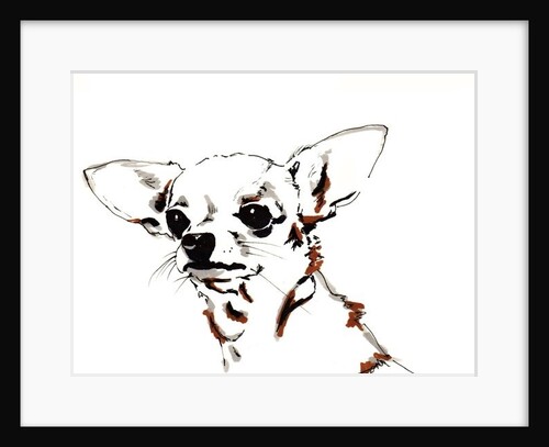 Big Ears the Chihuahua by Jo Chambers