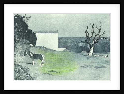 Facing new growth, 2016 by Catherine Sutcliffe-Fuller