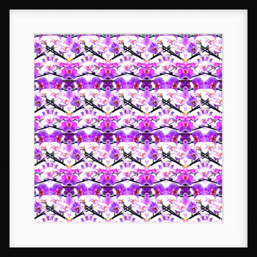 Purple Orchid Repeat, 2015 by Robyn Parker