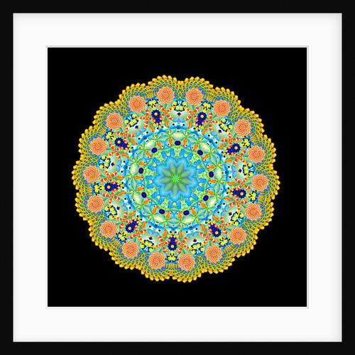 Tropical Fish Wheel, 2016 by Robyn Parker