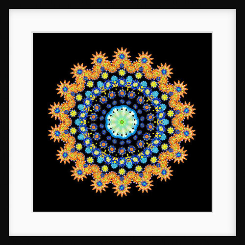 Tropical Fish Wheel 2, 2016 by Robyn Parker