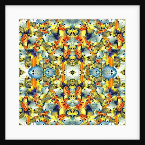 Kaleidoscope Fish Tile, 2016 by Robyn Parker