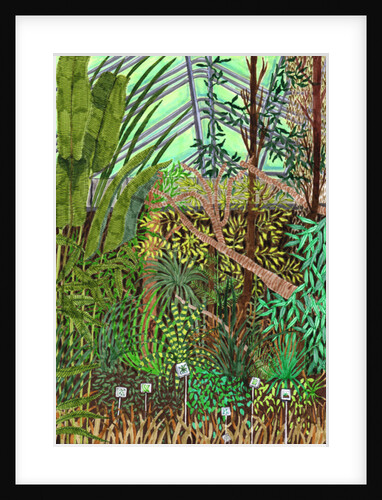 Botanic Garden, 2017 by Charlotte Orr