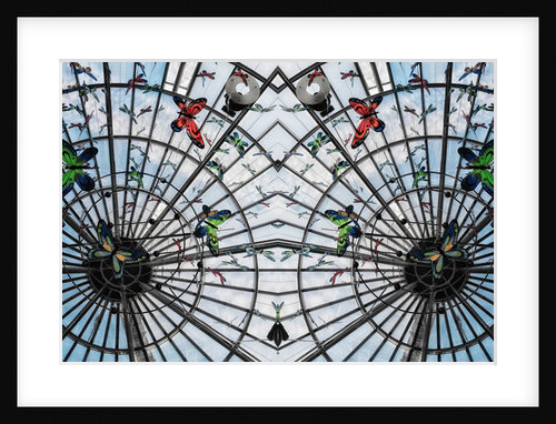 Butterfly cage, 2014 by Ant Smith