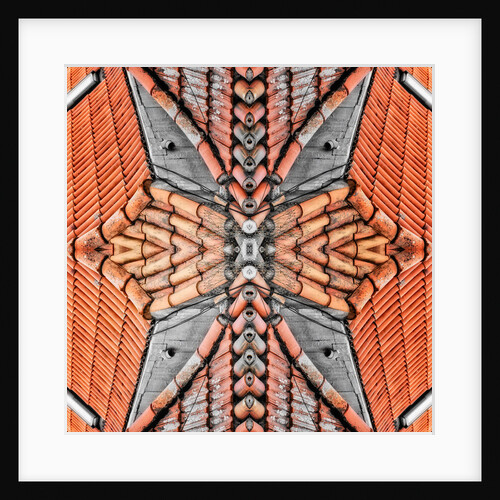 Terracotta Roofs, 2015 by Ant Smith