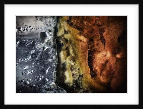 Other Worlds No 4 - Patterns in Old Food, 2019 by Ant Smith