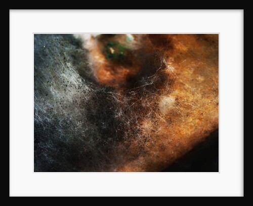 Other Worlds No 5 - Patterns in Old Food, 2014 by Ant Smith