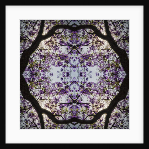 Lilac Tree, 2015 by Ant Smith