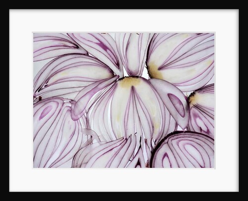Red Onion Slices, 2020 by Ant Smith