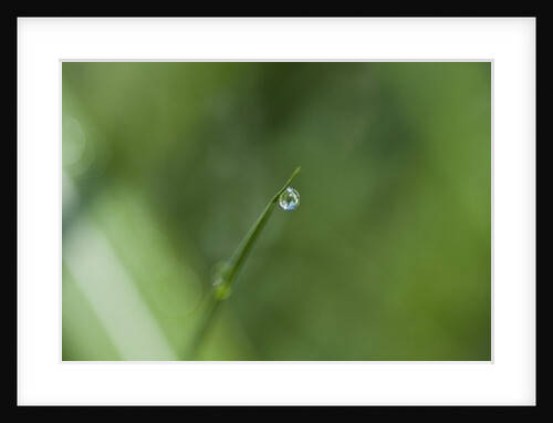 Droplet by K.B. White
