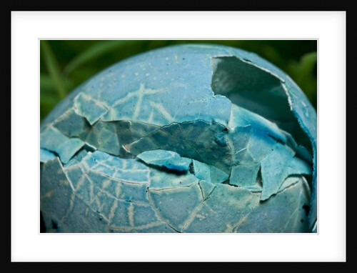 Dinosaur Egg by K.B. White