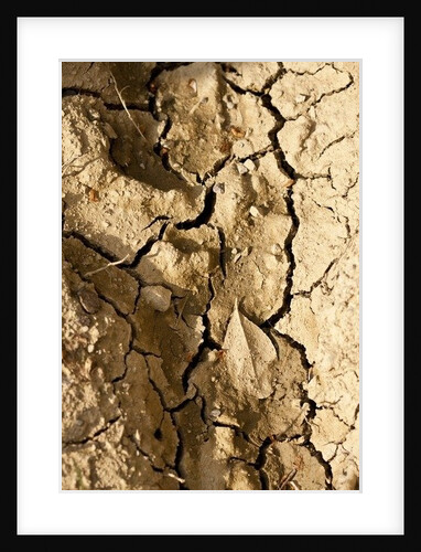 Dry by K.B. White