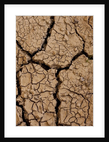 Dry II by K.B. White
