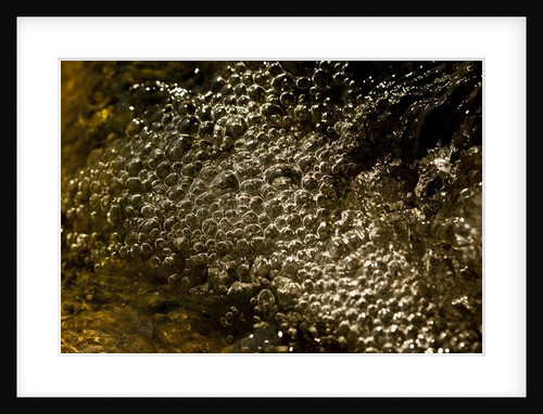 Bubbles by K.B. White