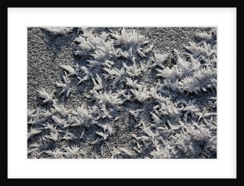 Snow and Ice by K.B. White