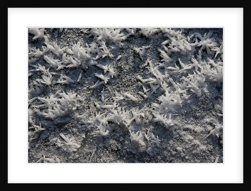 Snow and Ice II by K.B. White