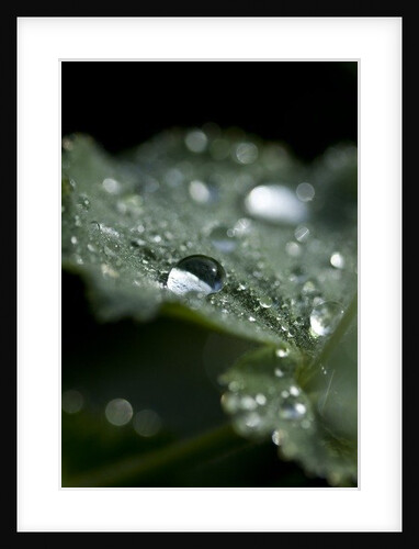 Drops by K.B. White