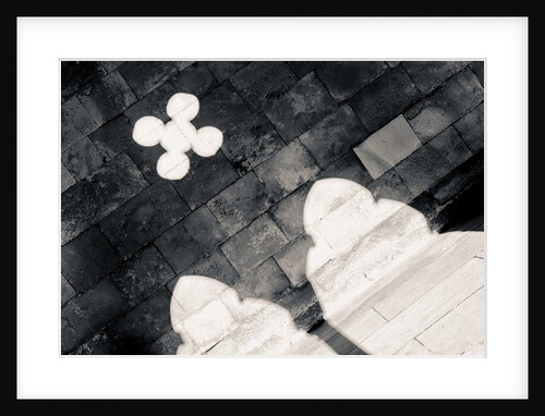 Light in the Cloister by Joy Lions