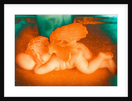 Golden Cherub, 2016 by Joy Lions