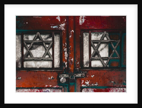 Locked Doors, 2016 by Joy Lions