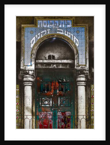 89 Allenby Street, 2016 by Joy Lions