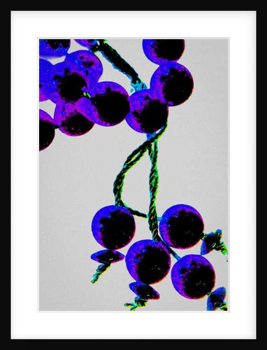 Purple Prayer Beads by Joy Lions