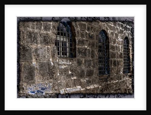 Approach by Joy Lions