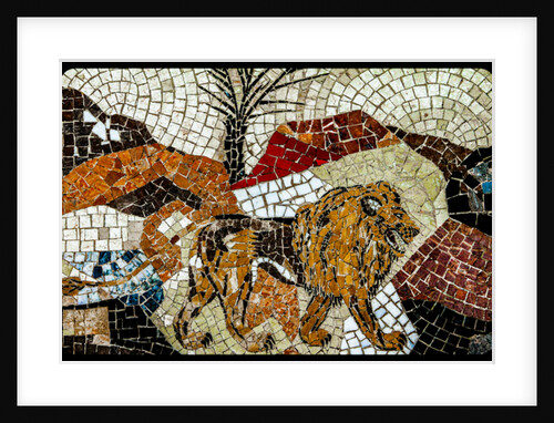 Judah by Joy Lions