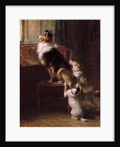 A Reserved Seat, 1901 by Briton Riviere