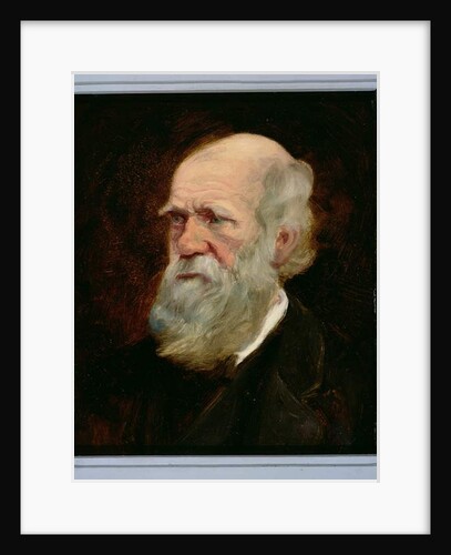 Portrait of Charles Robert Darwin English naturalist by English School