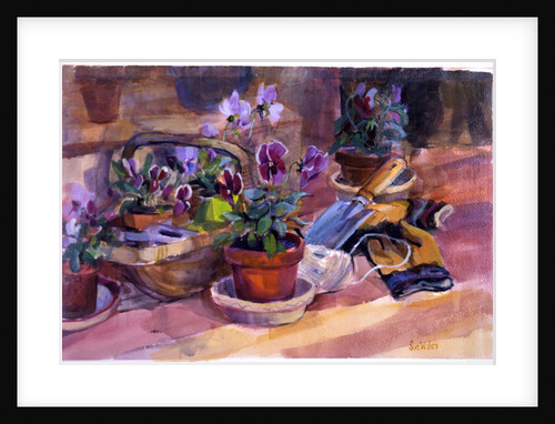 Potting up the pansies, 1996 by Sue Wales
