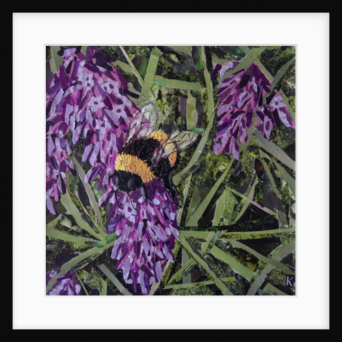 Buzz - Bumble Bee On Lavender, 2016 by Kirstie Adamson